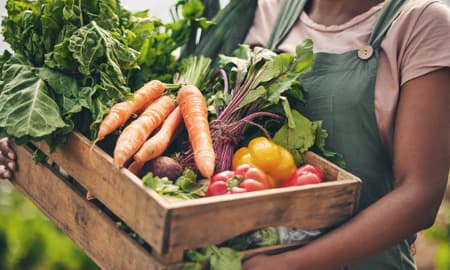 កសិ-ចំណីអាហារ